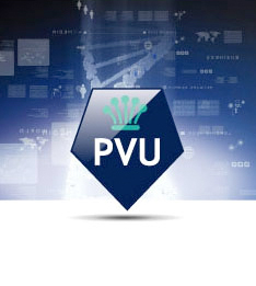 PVU gerechtsdeurwaarders
